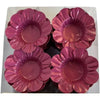 12035  FORMINHA MIOSOTIS ROSE 50UND 9050 - DECORA DOCES