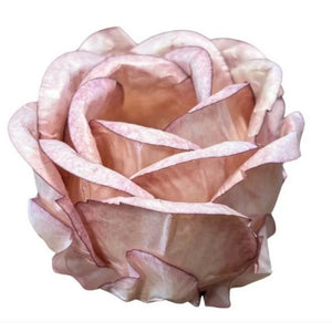 12000 FORMINHA PRINCESA COR DOCE DE LEITE 30UND 35601- DECORA DOCES