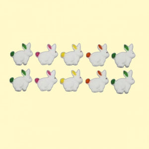 4766 COELHO  MICRO - COD298 - JADY