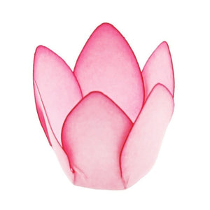 12052 FORMINHA MONACO GOIABA 50UND 310020 - DECORA DOCES