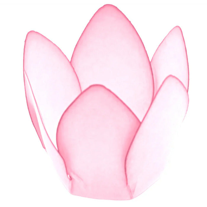 12056 FORMINHA MONACO ROSA BEBE 50UND 310047 - DECORA DOCES