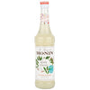 2169 XAROPE MENTA GLACIAL 700ML - MONIN